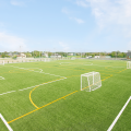 Fifa公認芝のコートレンタル 公式 シャロームスポーツセンター